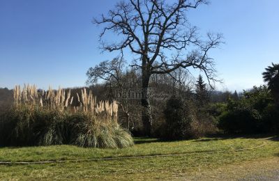 Slott till salu Pau, Nouvelle-Aquitaine, Park