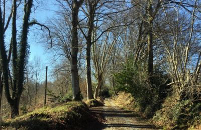 Slott till salu Pau, Nouvelle-Aquitaine, Inkörning