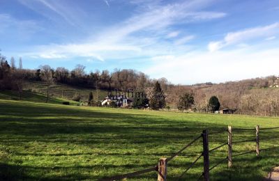 Herregård købe Pau, Nouvelle-Aquitaine, Ejendommens omgivelser