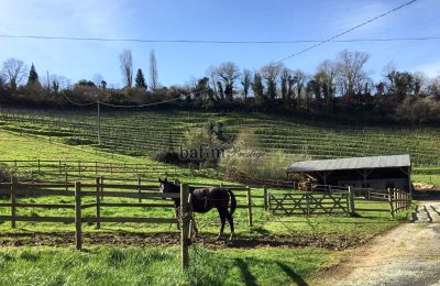 Herregård købe Pau, Nouvelle-Aquitaine, Ejendom