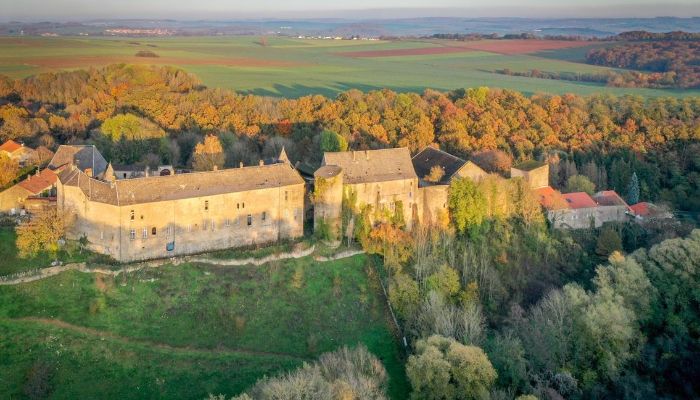 Slott til salgs Roussy-le-Bourg, Grand-Est,  Frankrike