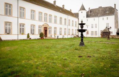 Slott til salgs Roussy-le-Bourg, Grand-Est, Indre gårdsplass