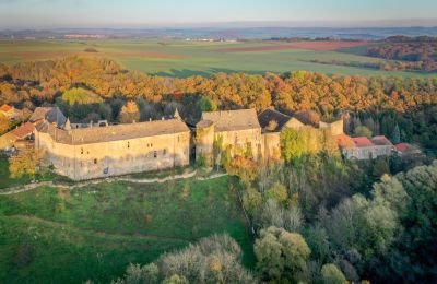 Slot købe Roussy-le-Bourg, Grand-Est, Ejendommens omgivelser