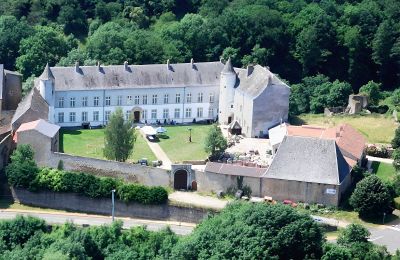 Schloss kaufen Roussy-le-Bourg, Grand Est, Château de Roussy-Comté