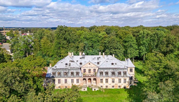 Schloss kaufen Minkowskie, Oppeln,  Polen, 2