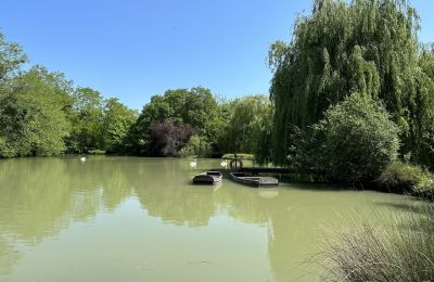 Slott till salu Centre-Val de Loire, Dam