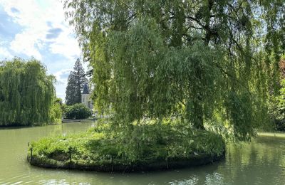 Slott till salu Centre-Val de Loire, Park