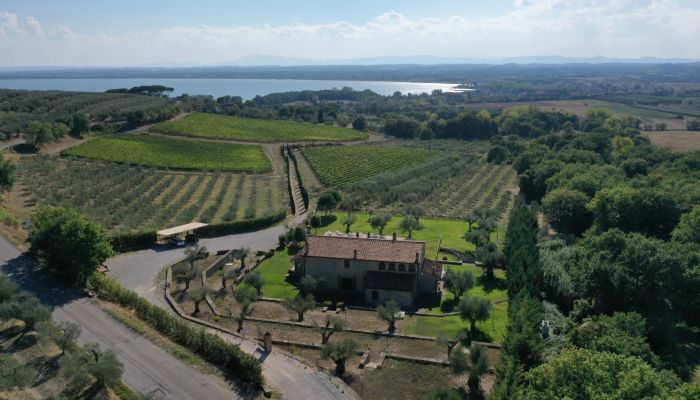 Bondegård Tuoro sul Trasimeno 2