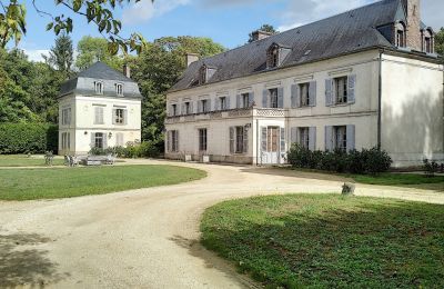 Slott til salgs Bourgogne-Franche-Comté, Bakvisning