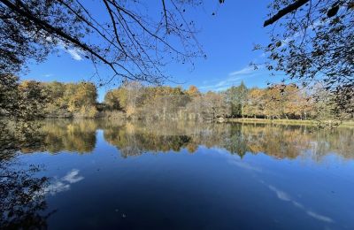 Herrgård till salu Eauze, Occitanie, Dam