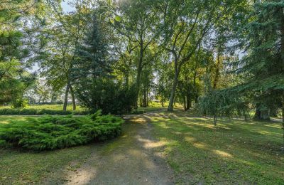 Schloss kaufen Mgowo, Kujawien-Pommern, Grundstück