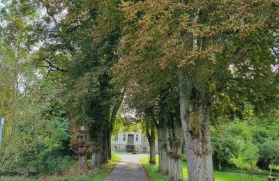 Herregård købe 18461 Grenzin, Mecklenburg-Vorpommern, Allee zum Haus