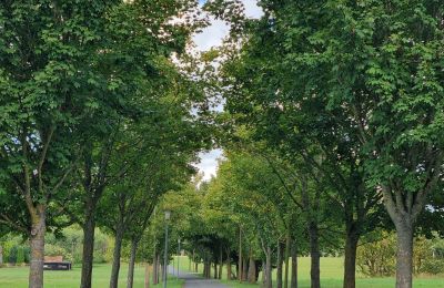 Herrgård till salu 18461 Grenzin, Mecklenburg-Vorpommern, Allee zum Dorf