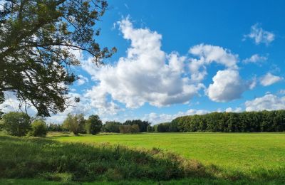 Herrgård till salu 18461 Grenzin, Mecklenburg-Vorpommern, Landschaft