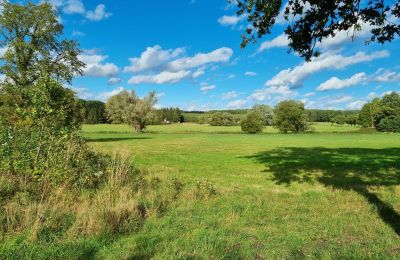 Herregård til salgs 18461 Grenzin, Mecklenburg-Vorpommern, Wiese rechts