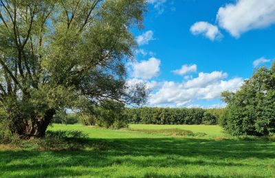 Herrenhaus/Gutshaus kaufen 18461 Grenzin, Mecklenburg-Vorpommern, Landschaft