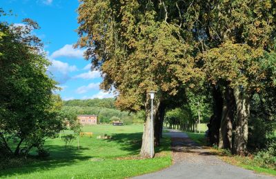 Herrgård till salu 18461 Grenzin, Mecklenburg-Vorpommern, Blick zum Dorf