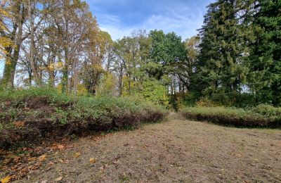 Schloss kaufen Grabiszyce Średnie, Niederschlesien, Foto 19/22