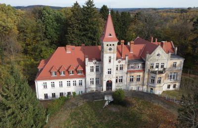 Slott til salgs Grabiszyce Średnie, województwo dolnośląskie, Dronefoto