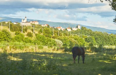 Herregård til salgs Kärnten, Bilde 12/19