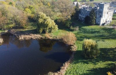 Slott til salgs Górki Dąbskie, Pałac w Górkach Dąbskich, województwo kujawsko-pomorskie, Tomt