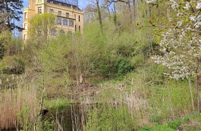 Historische Villa kaufen Gera, Thüringen, Foto 30/30