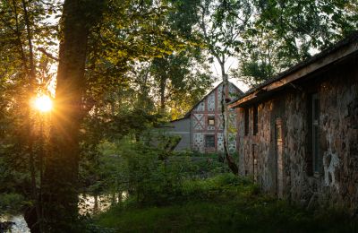 Herrenhaus/Gutshaus kaufen Virķēni, Virķēnu muiža, Livland, Foto 8/23