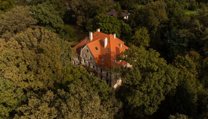 Schloss kaufen Wilków, Oppeln,  Polen