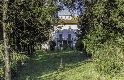 Historisk villa till salu Pontedera, Toscana, Inkörning