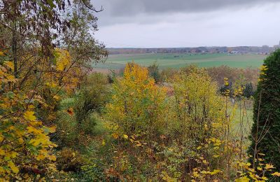 Herrgård till salu Górki Małe, województwo łódzkie, Bild 9/20