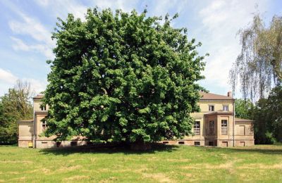 Herregård købe Strzyżno, Pałac w Strzyżnie, województwo zachodniopomorskie, Forside