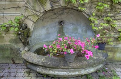 Historisk villa købe Vernaison, Auvergne-Rhône-Alpes, Detaljer