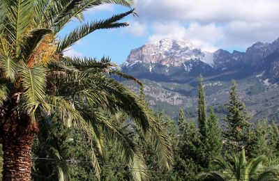 Landsted til salgs Sóller, Cami de Cas Carreter 5, Balearen, Bilde 7/12