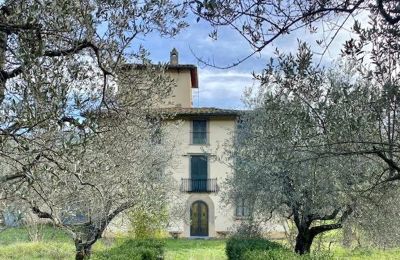 Historische Villa kaufen Firenze, Toskana, Außenansicht