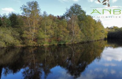 Herrgård till salu Busserolles, Nouvelle-Aquitaine, Dam