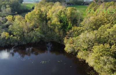 Herrgård till salu Busserolles, Nouvelle-Aquitaine, Bild 18/27