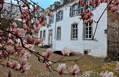 Schloss kaufen Astenet, Wallonien, Foto 11/22