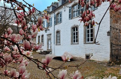 Schloss kaufen Astenet, Wallonien, Herrenhaus/Gutshaus