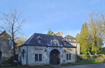 Schloss kaufen Astenet, Wallonien, Foto 2/28