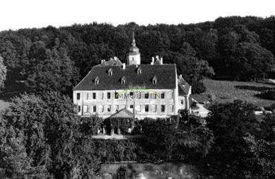 Slot købe 04603 Nobitz, Am Schloß 3, Thüringen, Schloss Ehrenhain 1