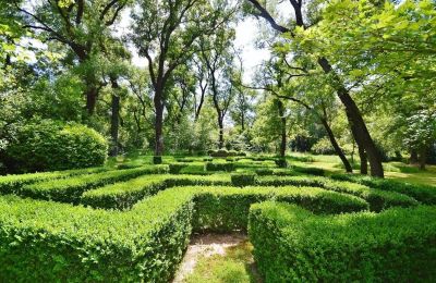 Slott till salu Saint-Chaptes, Occitanie, Park