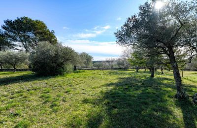 Landsted til salgs Uzès, Occitanie, Bilde 11/14