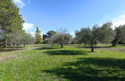 Landsted til salgs Uzès, Occitanie, Bilde 14/14