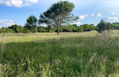 Landhus købe Uzès, Occitanie, Billede 7/14