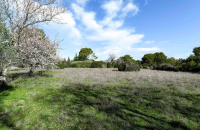 Landsted til salgs Uzès, Occitanie, Tomt