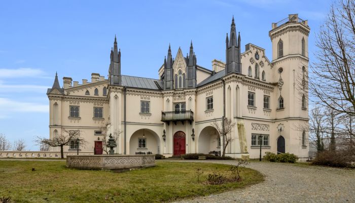 Schloss kaufen Patrykozy, Masowien,  Polen