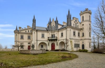 Karaktereiendommer, Nygotisk herregård i Patrykozy - et unikt monument i Mazovia