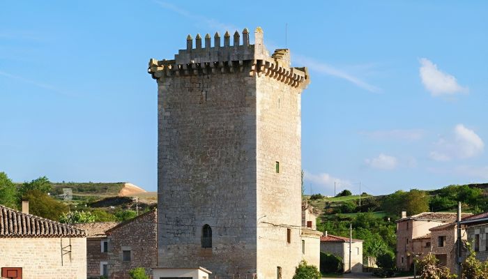 Historische Immobilie kaufen Villadiego, Kastilien und León,  Spanien