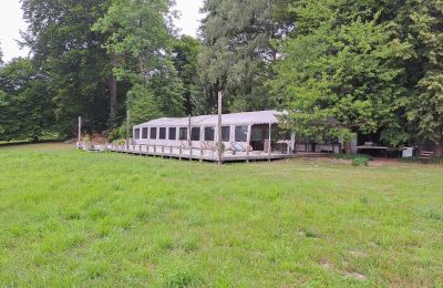 Herregård købe Dawidy, Dwór w Dawidach, województwo warmińsko-mazurskie, Park