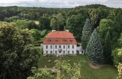 Herregård købe Dawidy, Dwór w Dawidach, województwo warmińsko-mazurskie, Dronefoto